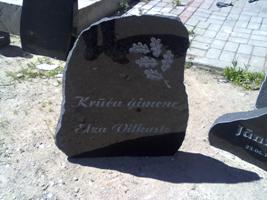 16062010214.jpg